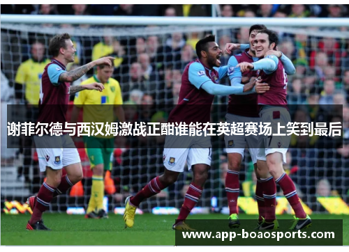 谢菲尔德与西汉姆激战正酣谁能在英超赛场上笑到最后